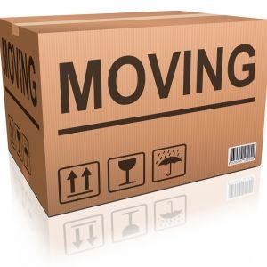 sydney-brisbane-removalists