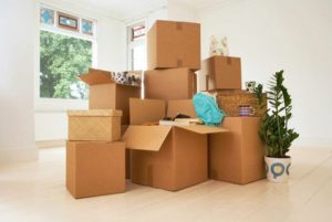 Things To Consider When Looking At Removals Storage Options