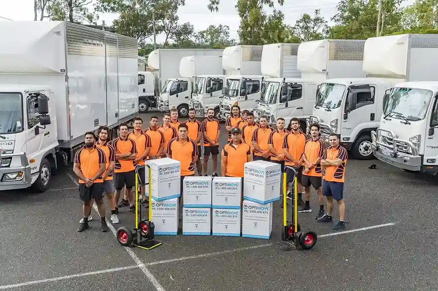About Optimove